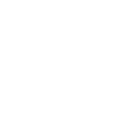 leaf icon