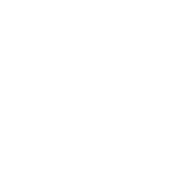 Color icon