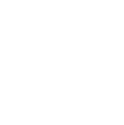 Tip Icon