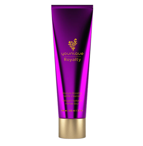MOISTURE BOOSTING GENTLE CLEANSER